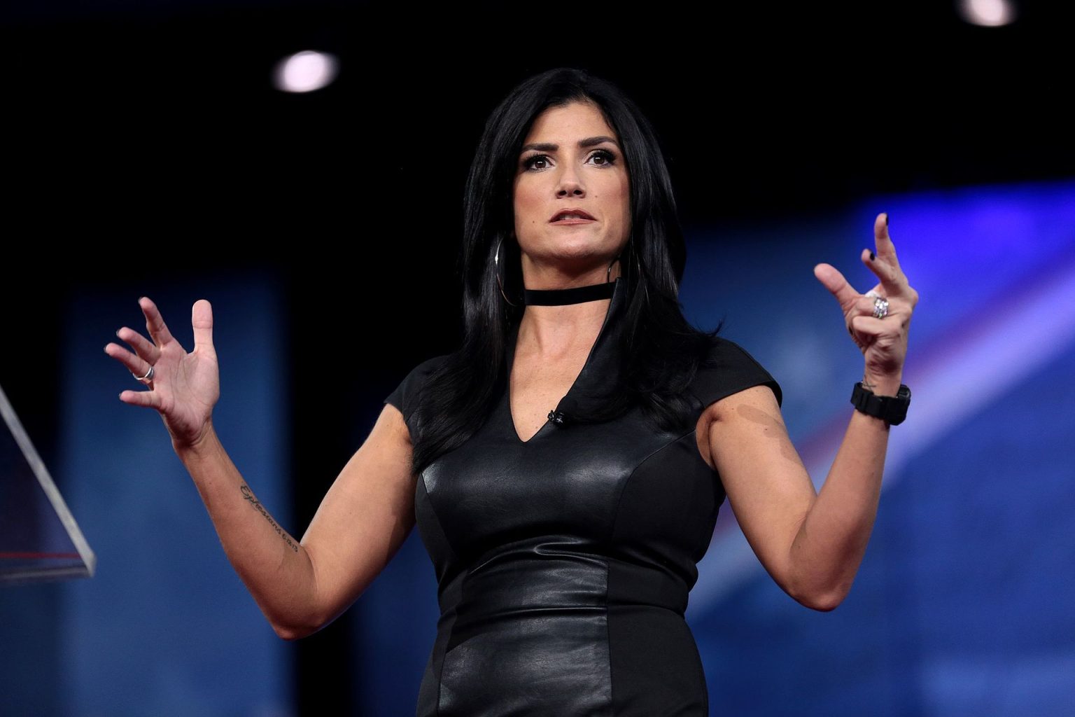 Dana Loesch In Bikini Body Height Weight Nationality Net Worth